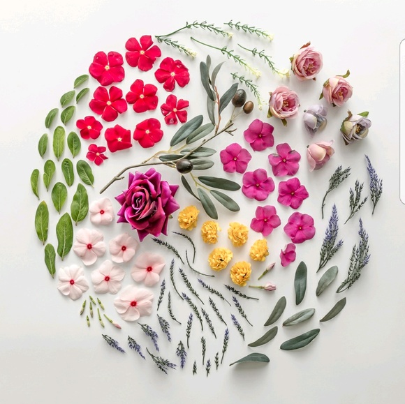 Meet your Posher, Tantrum - Picture 1 of 1